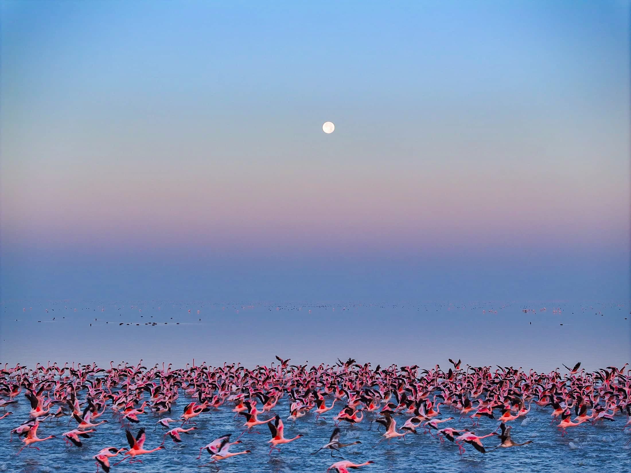 Dawn over the salt pans