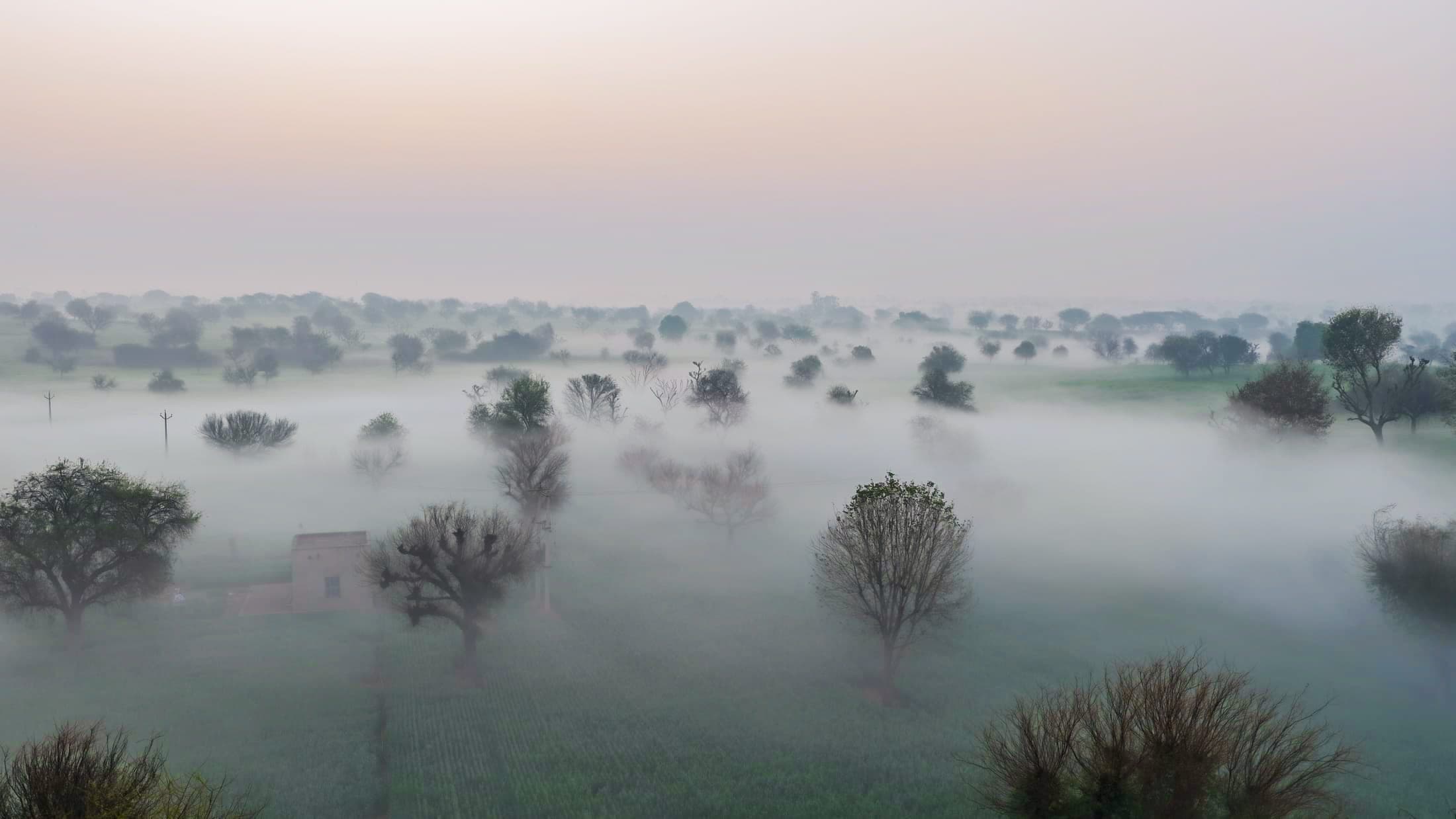 Winter fog, Shekhawati